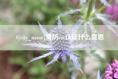 如皋消防ccc认证什么意思