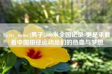 如皋男子5000米全国记录-更是承载着中国田径运动员们的热血与梦想