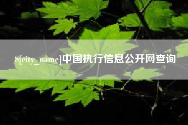如皋中国执行信息公开网查询