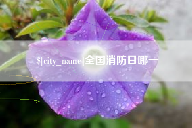如皋全国消防日哪一