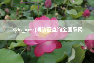 如皋消防证查询全国联网