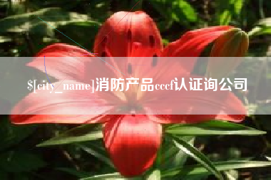 如皋消防产品cccf认证询公司