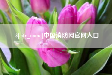 如皋中国消防网官网入口
