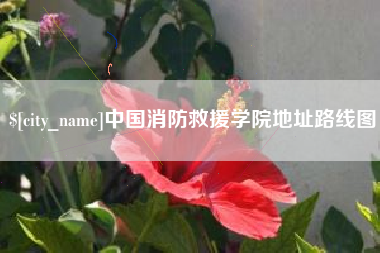 如皋中国消防救援学院地址路线图
