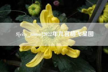 如皋2022年九宫格飞星图