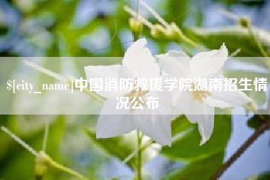 如皋中国消防救援学院湖南招生情况公布