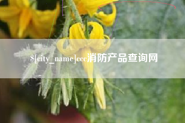 如皋ccc消防产品查询网
