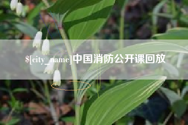 如皋中国消防公开课回放