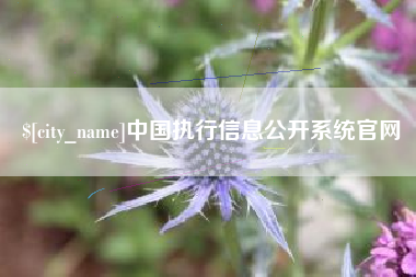 如皋中国执行信息公开系统官网