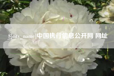 如皋中国执行信息公开网 网址