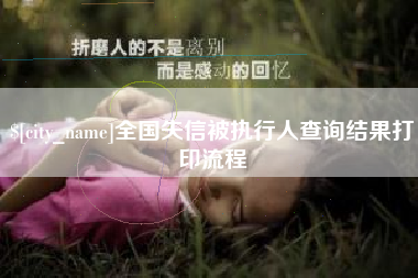 如皋全国失信被执行人查询结果打印流程