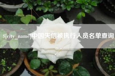 如皋中国失信被执行人员名单查询