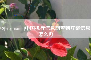 如皋中国执行信息网查到立案信息怎么办