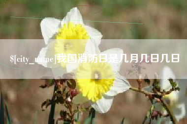 如皋我国消防日是几月几日几日