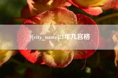 如皋21年九宫格
