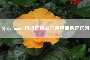 如皋执行信息公开网查询系统官网