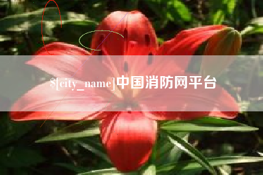 如皋中国消防网平台