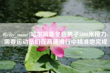 如皋哈尔滨亚冬会男子5000米接力-需要运动员们在高速滑行中精准地完成