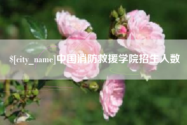如皋中国消防救援学院招生人数