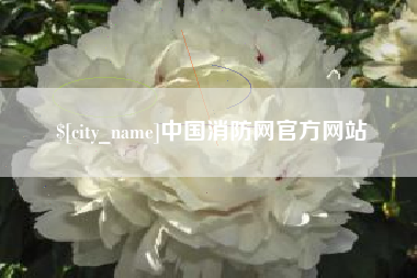 如皋中国消防网官方网站