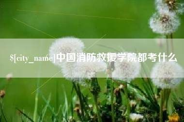 如皋中国消防救援学院都考什么