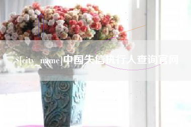 如皋中国失信执行人查询官网