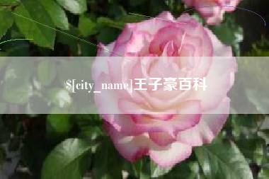 如皋王子豪百科