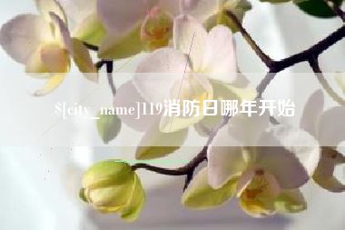 如皋119消防日哪年开始
