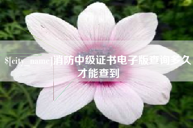 如皋消防中级证书电子版查询多久才能查到