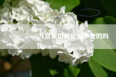 如皋九宫星位是定位不变的吗