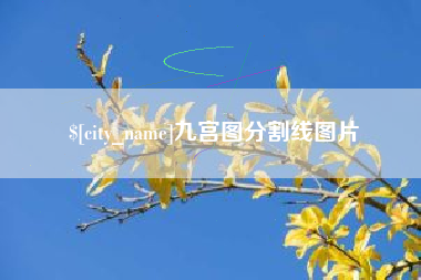 如皋九宫图分割线图片