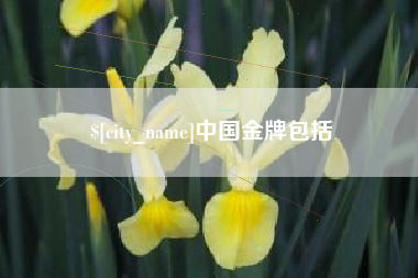 如皋中国金牌包括