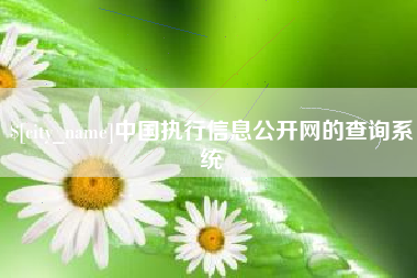 如皋中国执行信息公开网的查询系统