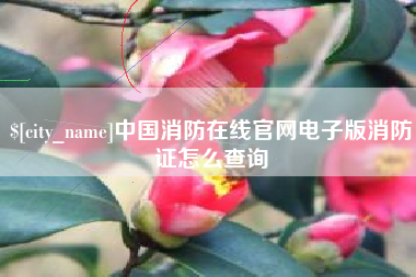 如皋中国消防在线官网电子版消防证怎么查询