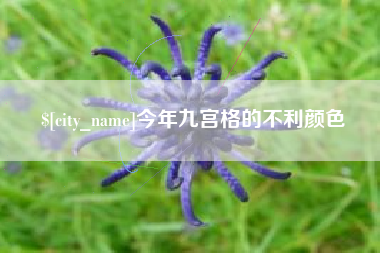 如皋今年九宫格的不利颜色