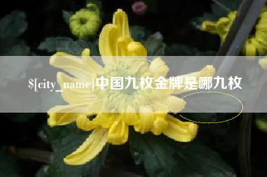 如皋中国九枚金牌是哪九枚
