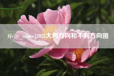 如皋2025大利方向和不利方向图