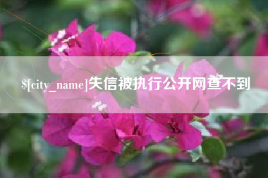 如皋失信被执行公开网查不到