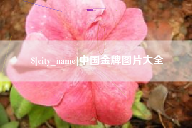 如皋中国金牌图片大全