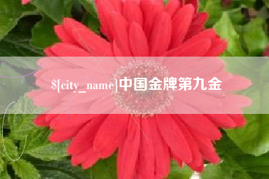 如皋中国金牌第九金