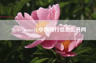 如皋1.中国执行信息公开网