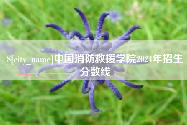如皋中国消防救援学院2024年招生分数线