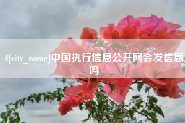 如皋中国执行信息公开网会发信息吗