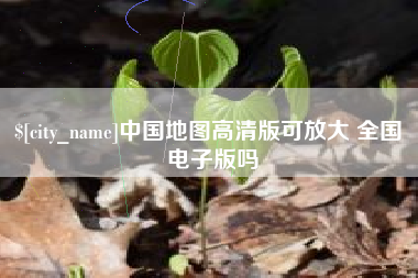 如皋中国地图高清版可放大 全国 电子版吗