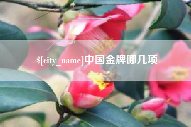如皋中国金牌哪几项