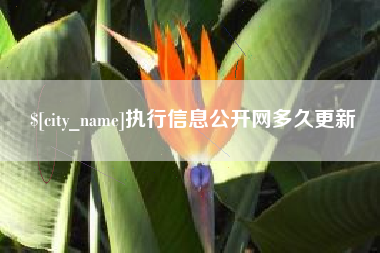 如皋执行信息公开网多久更新