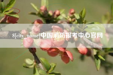 如皋中国消防报考中心官网