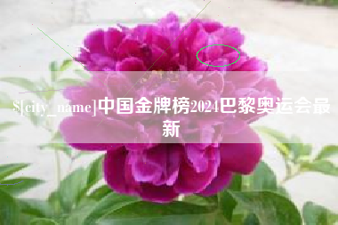 如皋中国金牌榜2024巴黎奥运会最新