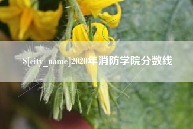 如皋2020年消防学院分数线
