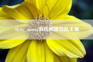 如皋消防救援总队王星